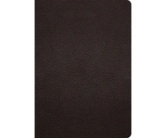 KNYGA Spck ESV Study Bible