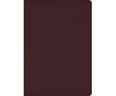 KNYGA Spck ESV Study Bible, Large Print