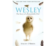 KNYGA Stacey Obrien Wesley