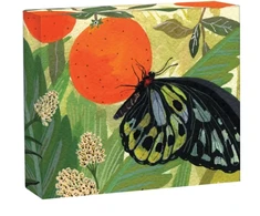 KNYGA Becca Stadtlander Butterflies QuickNotes