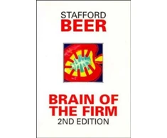 KNYGA Stafford Beer Brain of the Firm