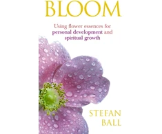 KNYGA Stefan Ball Bloom