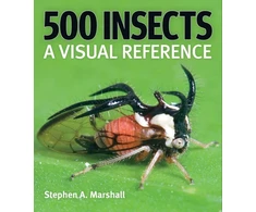 KNYGA Stephen A Marshall 500 Insects: A Visual Reference
