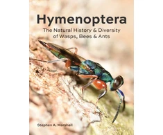 KNYGA Stephen A Marshall Hymenoptera