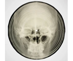 KNYGA Stephen Coates Bone Music