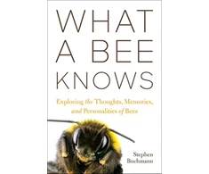 KNYGA Stephen L Buchmann What a Bee Knows