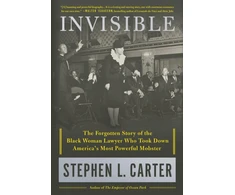 KNYGA Stephen L Carter Invisible