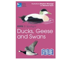 KNYGA Stephen Message RSPB ID Spotlight - Ducks, Geese and Swans