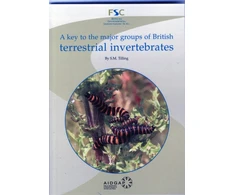 KNYGA Stephen Tilling Key to the Major Groups of Terrestrial Invertebrates