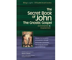 KNYGA Stevan L Davies Secret Book of John