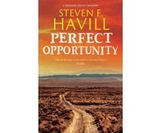 KNYGA Steven F Havill Perfect Opportunity