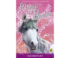 KNYGA Sue Bentley Magic Ponies: A Special Wish