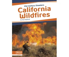 KNYGA Sue Gagliardi California Wildfires