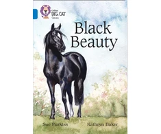 KNYGA Sue Purkiss Juodas Beauty