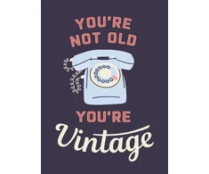 KNYGA Summersdale Publishers You're Not Old, You're Vintage