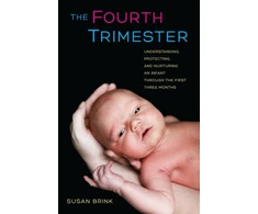 KNYGA Susan Brink Fourth Trimester