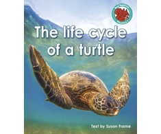 KNYGA Susan Frame life cycle of a turtle
