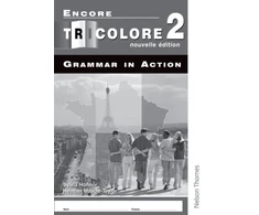 KNYGA Sylvia Honnor Encore Tricolore Nouvelle 2 Grammar in Action Pack (x8)