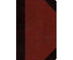KNYGA T Desmond Alexander ESV Study Bible, Personal Size