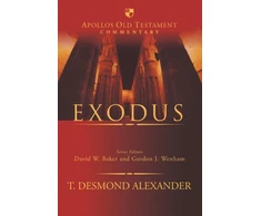 KNYGA T Desmond Alexander Išėjimas