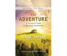 KNYGA Steve Taylor The Adventure
