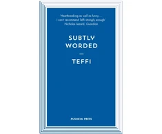 KNYGA Teffi Subtly Worded and Other Stories