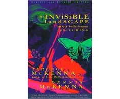 KNYGA Terence Mckenna Invisible Landscape