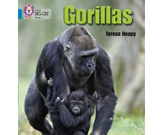 KNYGA Teresa Heapy Gorillas