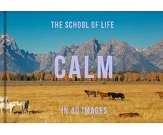 KNYGA The School Of Life Calm in 40 Images