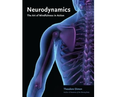 KNYGA Theodore Jr Dimon Neurodynamics