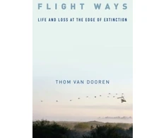 KNYGA Thom Van Dooren Flight Ways