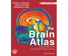 KNYGA Thomas A Woolsey Brain Atlas
