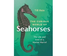 KNYGA Till Hein Curious World of Seahorses