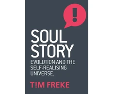 KNYGA Timothy Freke Soul Story