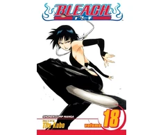 KNYGA Tite Kubo Bleach, Vol. 18