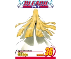 KNYGA Tite Kubo Bleach, Vol. 36