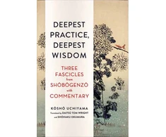 KNYGA Tom Wright Deepest Practice, Deepest Wisdom