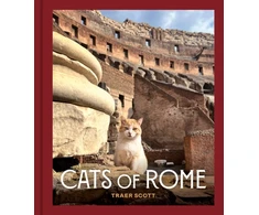 KNYGA Traer Scott Cats of Rome