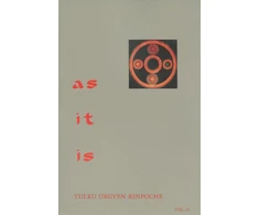 KNYGA Tulku Rinpoche As It Is, Volume II