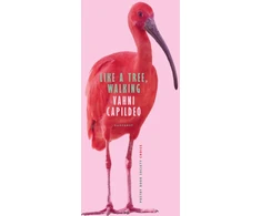KNYGA Vahni Capildeo Like a Tree, Walking