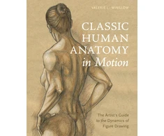 KNYGA Valerie L Winslow Classic Human Anatomy in Motion