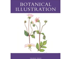 KNYGA Valerie Oxley Botanical Illustration