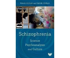 KNYGA Volkan Volkan Schizophrenia