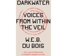 KNYGA W. E. B. Du Bois Darkwater