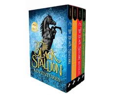 KNYGA Walter Farley Juodas Stallion Adventures