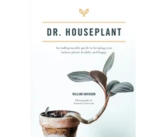 KNYGA William Davidson Dr. Houseplant