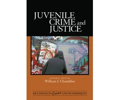 KNYGA William J Chambliss Juvenile Crime and Justice