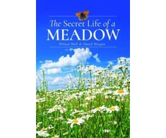 KNYGA Wilson Wall Secret Life of a Meadow