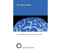 KNYGA Wolf Singer Neocortex