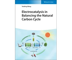 KNYGA Yaobing Wang Electrocatalysis in Balancing the Natural Carbon Cycle